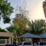 Saqeefah garden