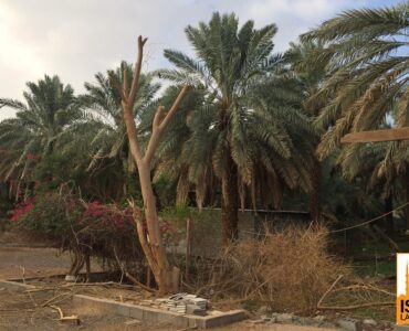 Inside the garden of Salman Farsi (رضي الله عنه)