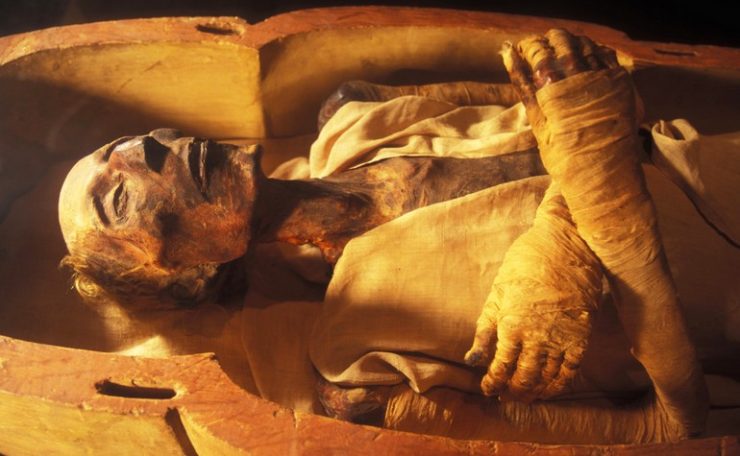 The body of Fir'awn displayed in Cairo Museum