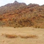 Irq al-Zabiyyah