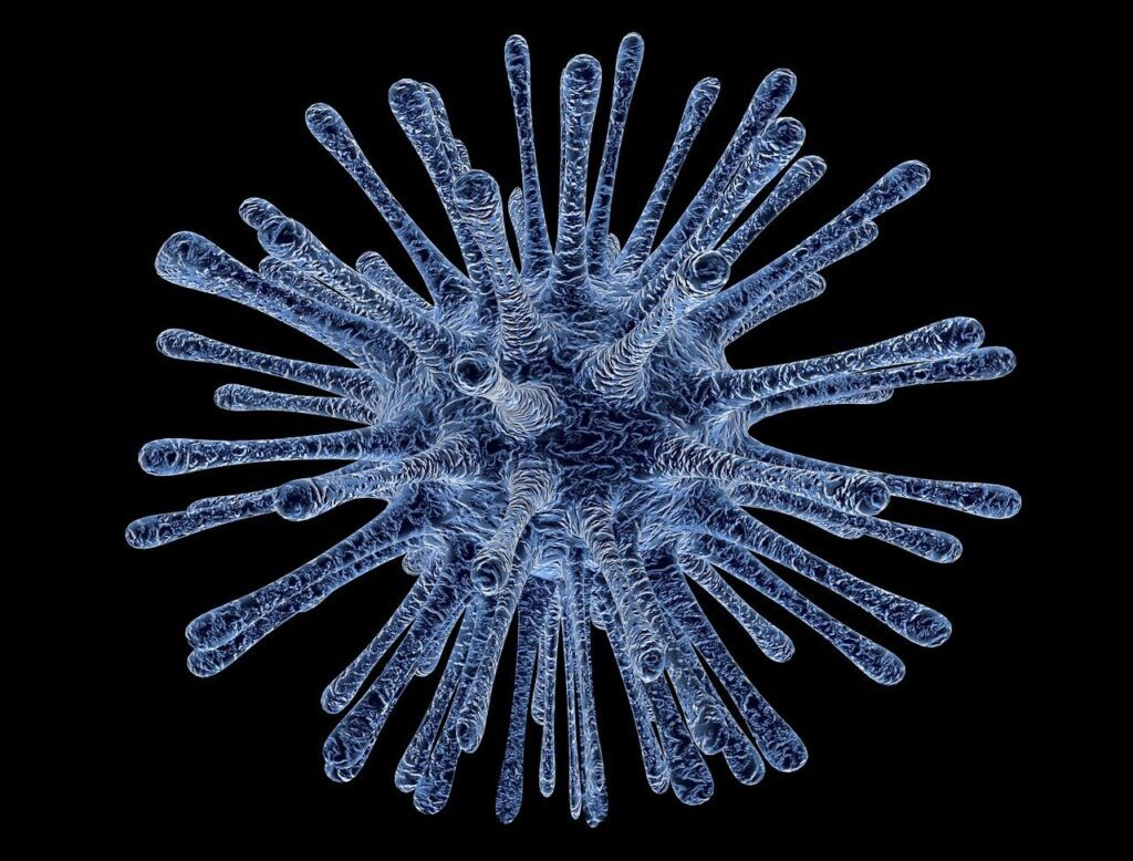 amwas plague bacteria cell